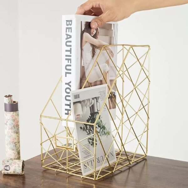 GOLD BOOK SHELVE