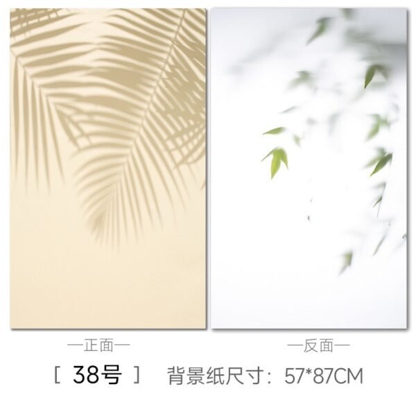 DOUBLE SIDED PAPER BACKDROP  F