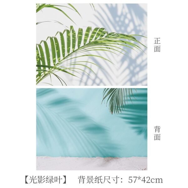 DOUBLE SIDED PAPER BACKDROP  N
