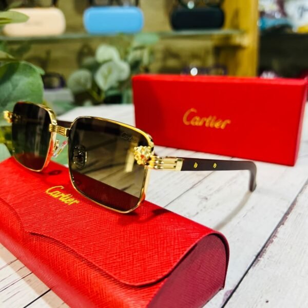 CARTIER MEN PREMIUM EYEWEAR
