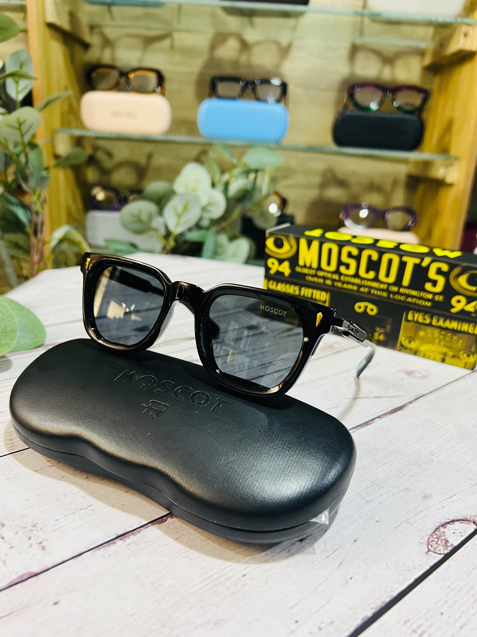 MOSCOT PREMIUM SUNGLASSES - Image 2